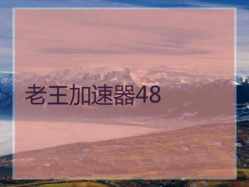 老王加速器48