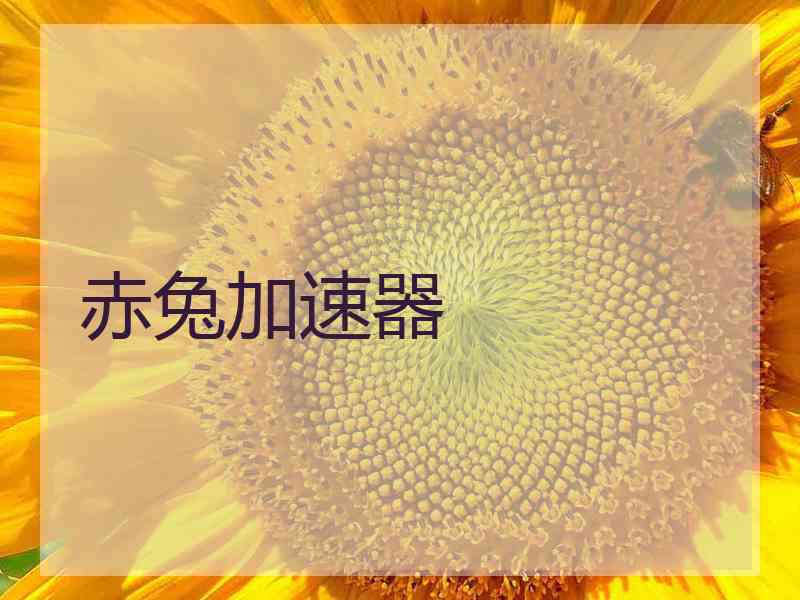 赤兔加速器