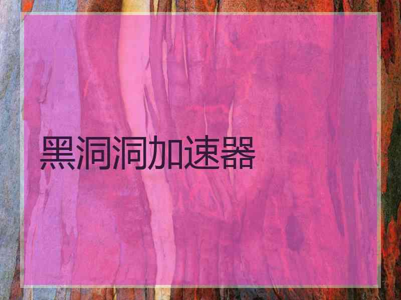 黑洞洞加速器