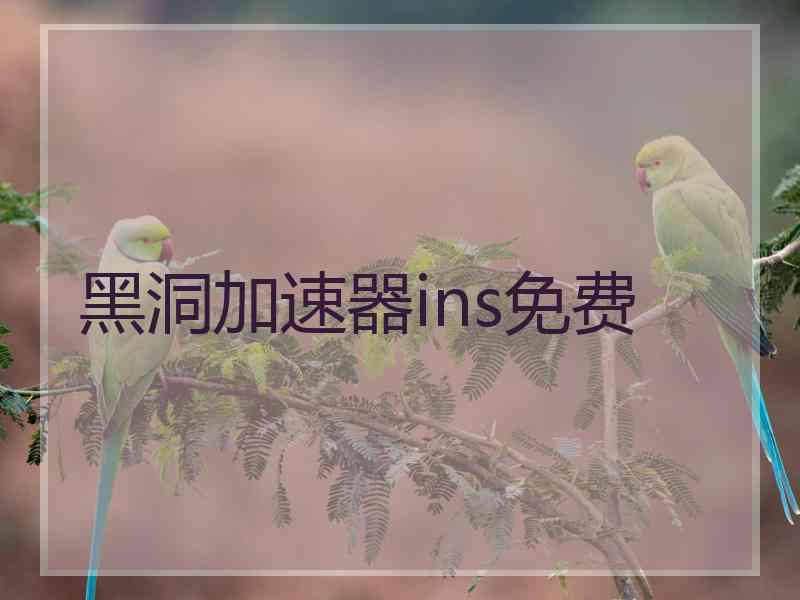 黑洞加速器ins免费