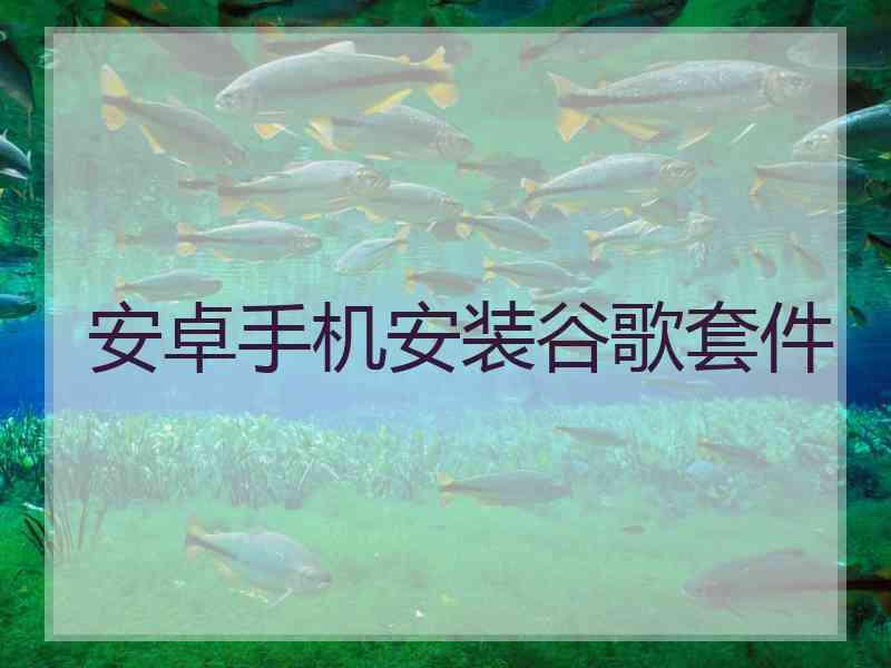 安卓手机安装谷歌套件