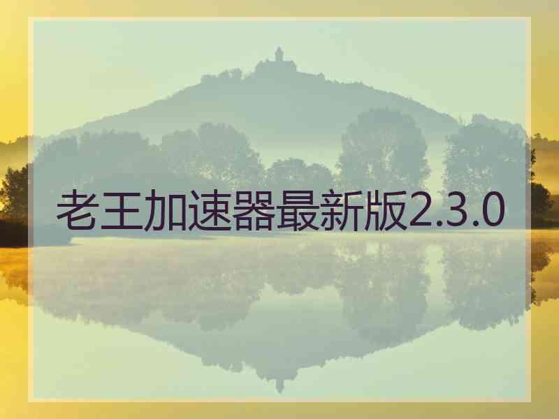 老王加速器最新版2.3.0