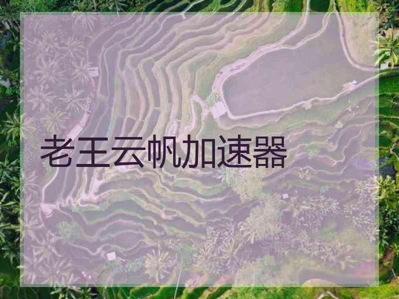 老王云帆加速器