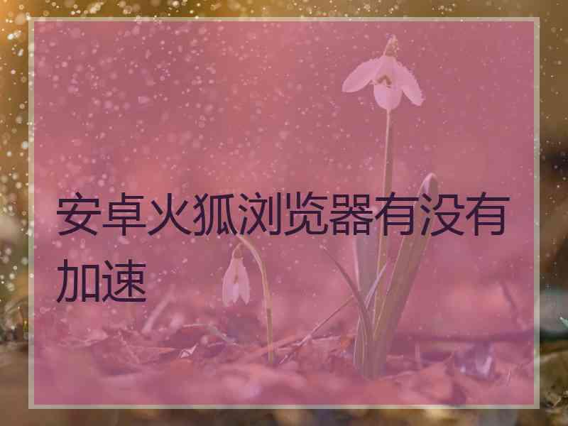 安卓火狐浏览器有没有加速