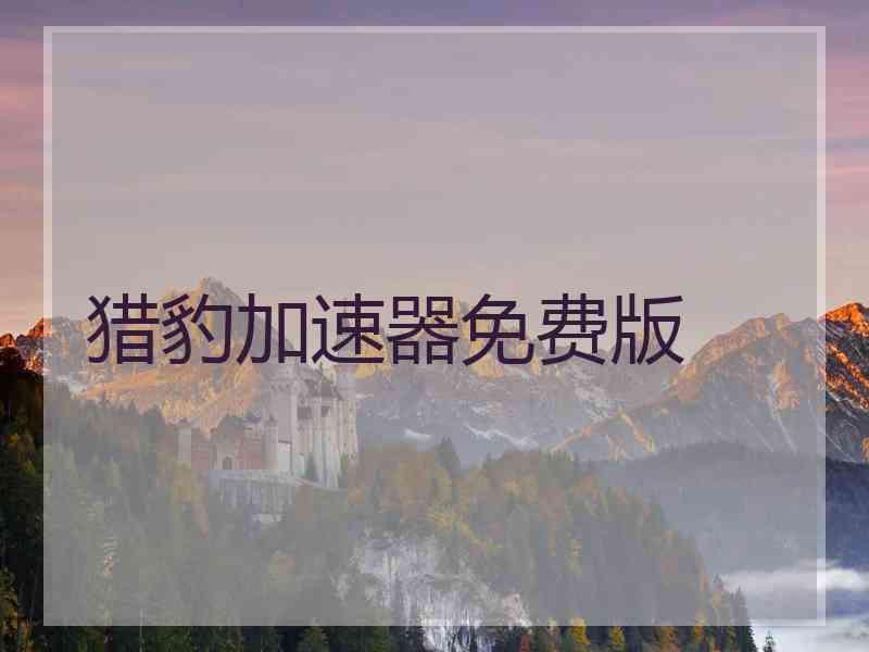 猎豹加速器免费版
