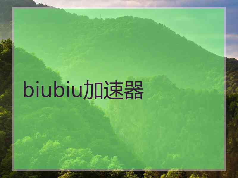 biubiu加速器