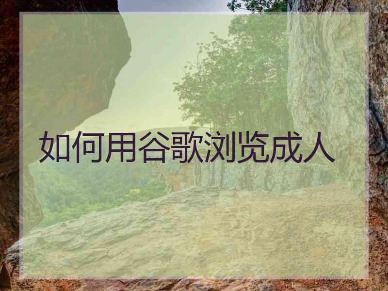 如何用谷歌浏览成人