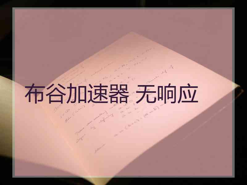 布谷加速器 无响应