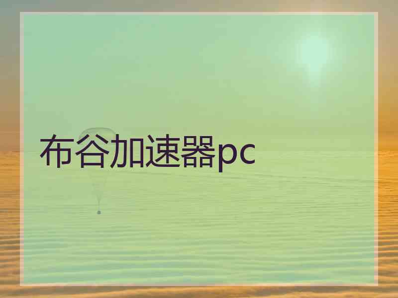 布谷加速器pc