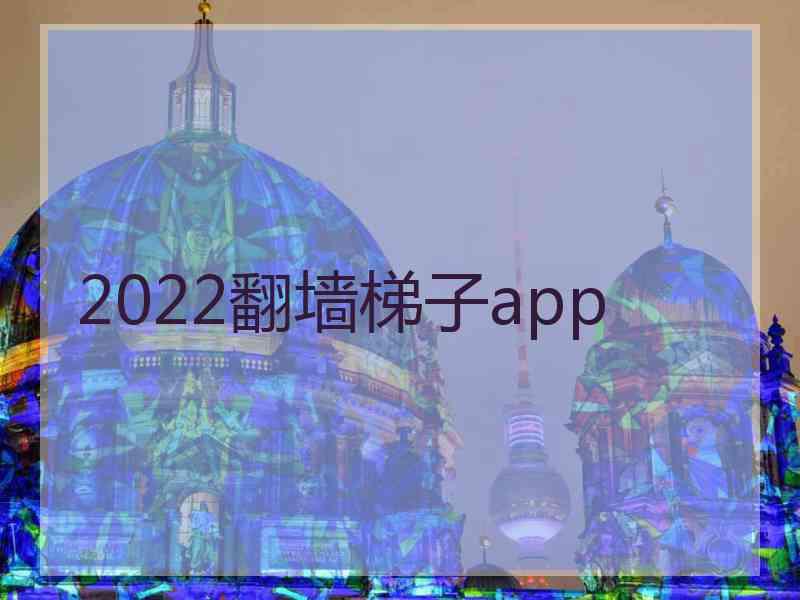 2022翻墙梯子app