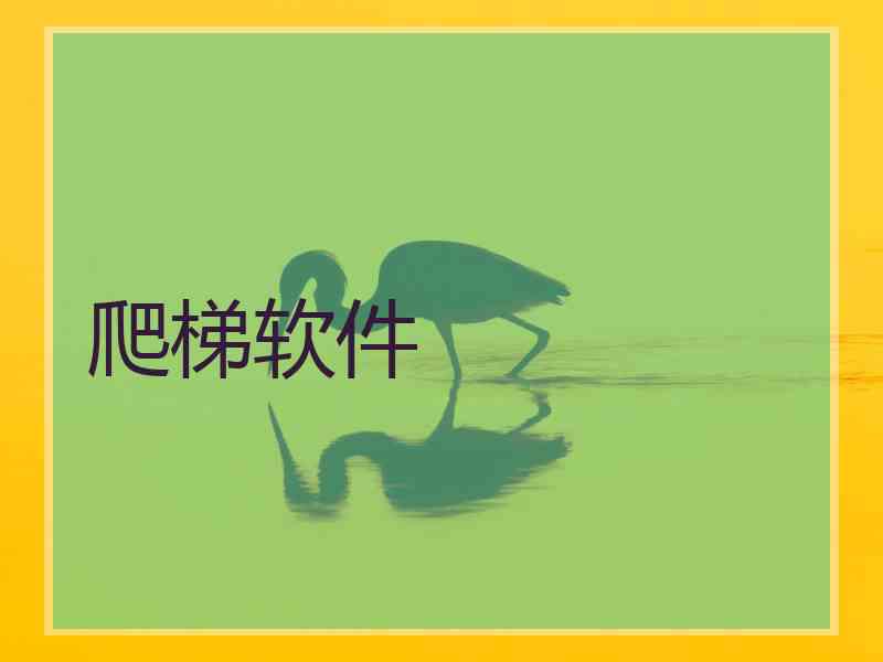 爬梯软件