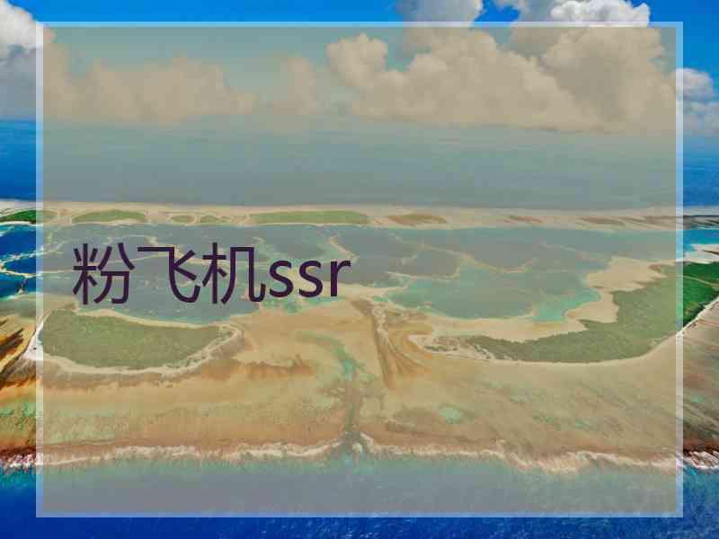 粉飞机ssr