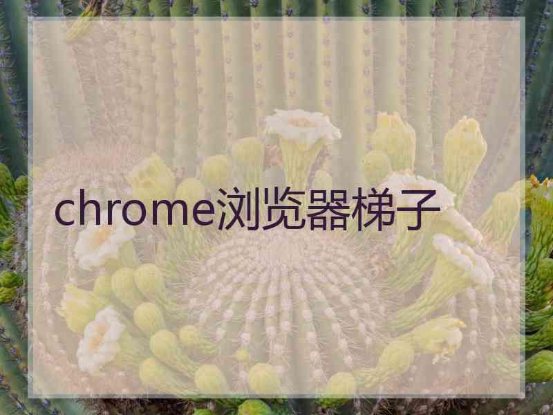 chrome浏览器梯子