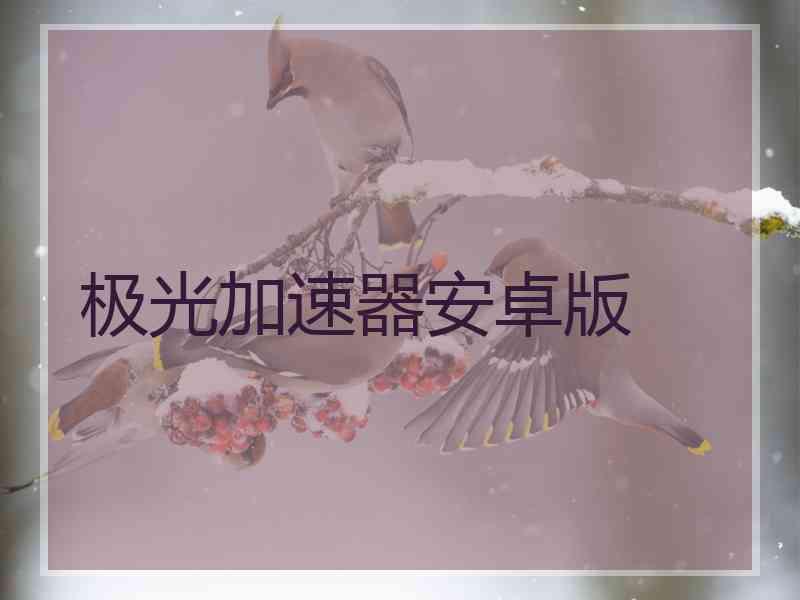 极光加速器安卓版