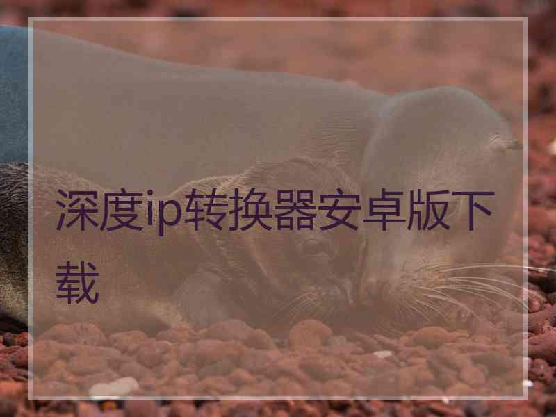 深度ip转换器安卓版下载