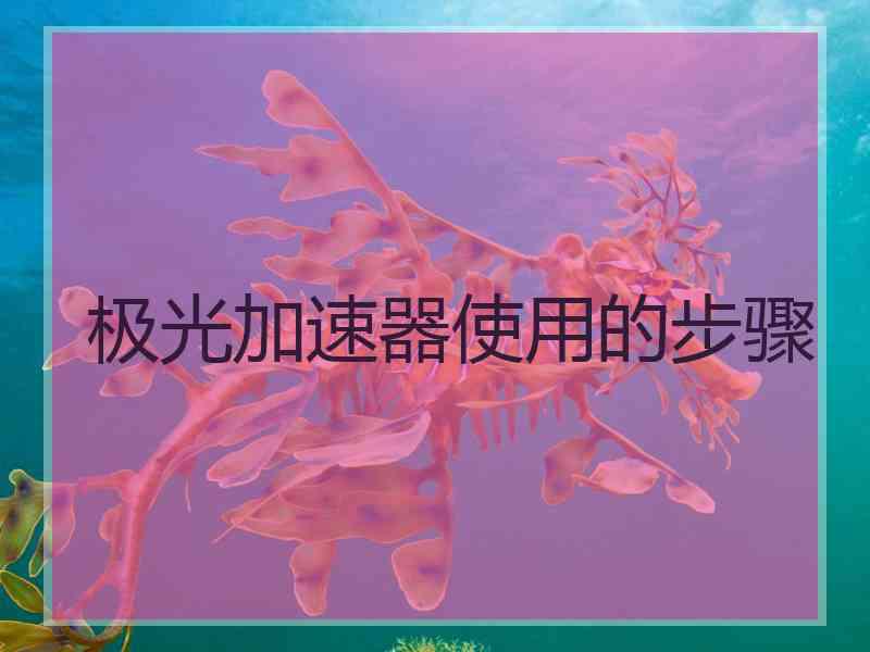 极光加速器使用的步骤