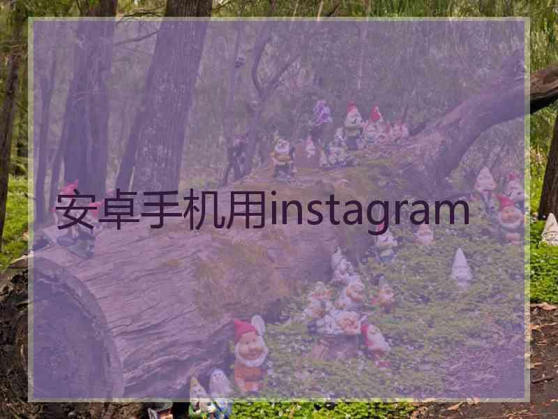 安卓手机用instagram