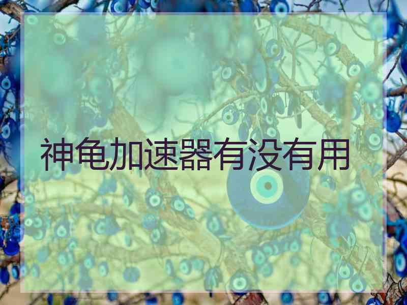神龟加速器有没有用
