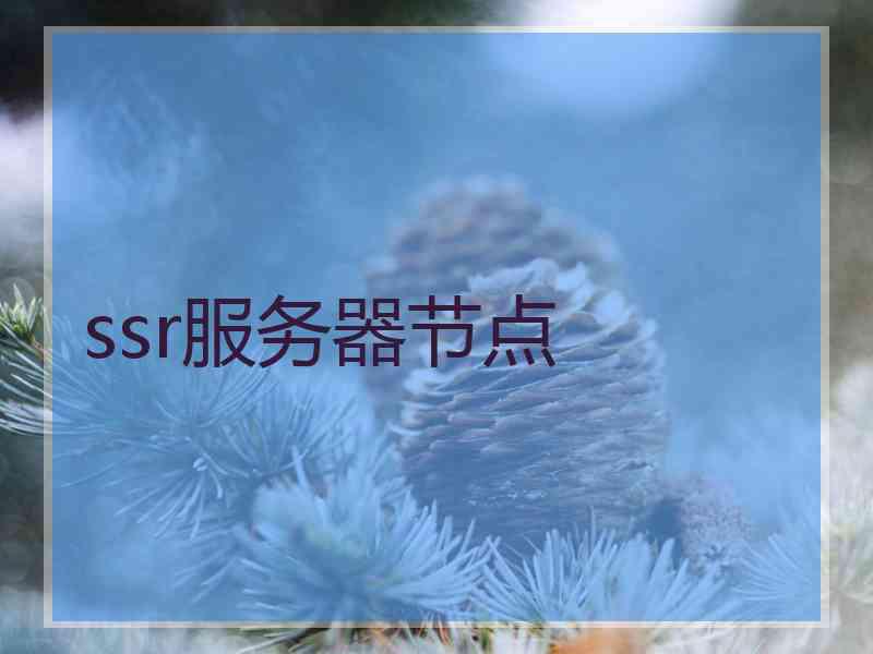 ssr服务器节点