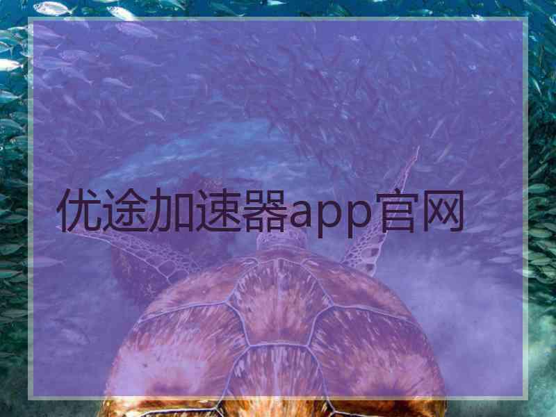 优途加速器app官网