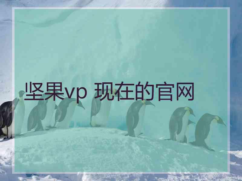 坚果vp 现在的官网