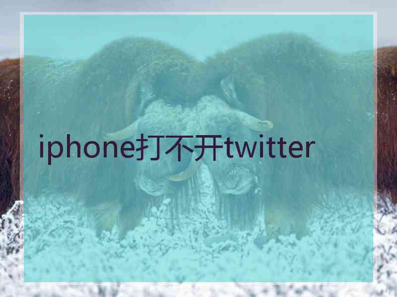 iphone打不开twitter