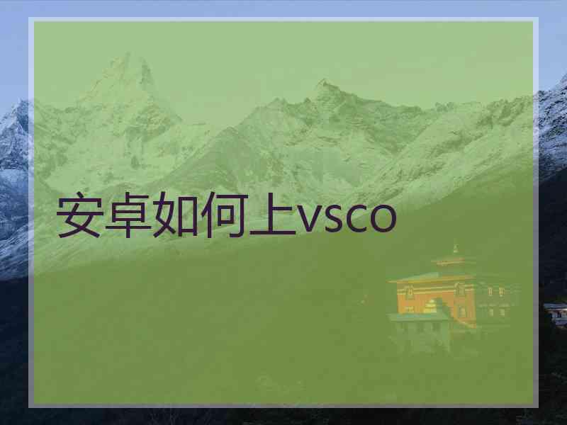 安卓如何上vsco