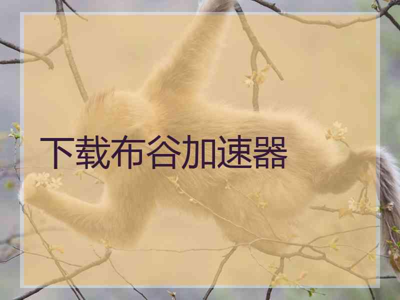 下载布谷加速器
