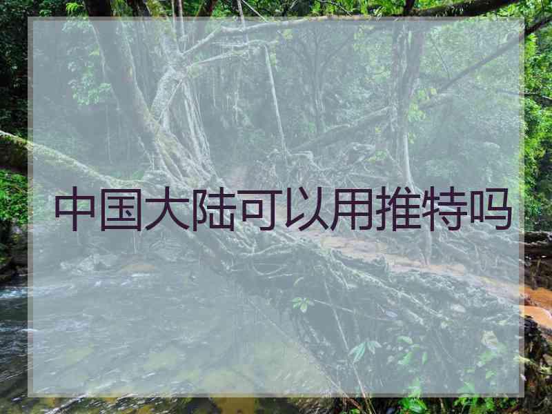 中国大陆可以用推特吗