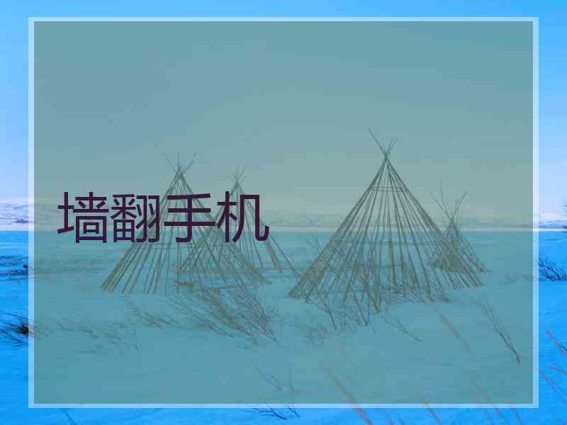 墙翻手机