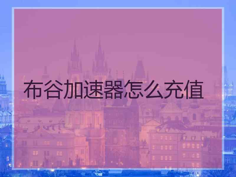 布谷加速器怎么充值