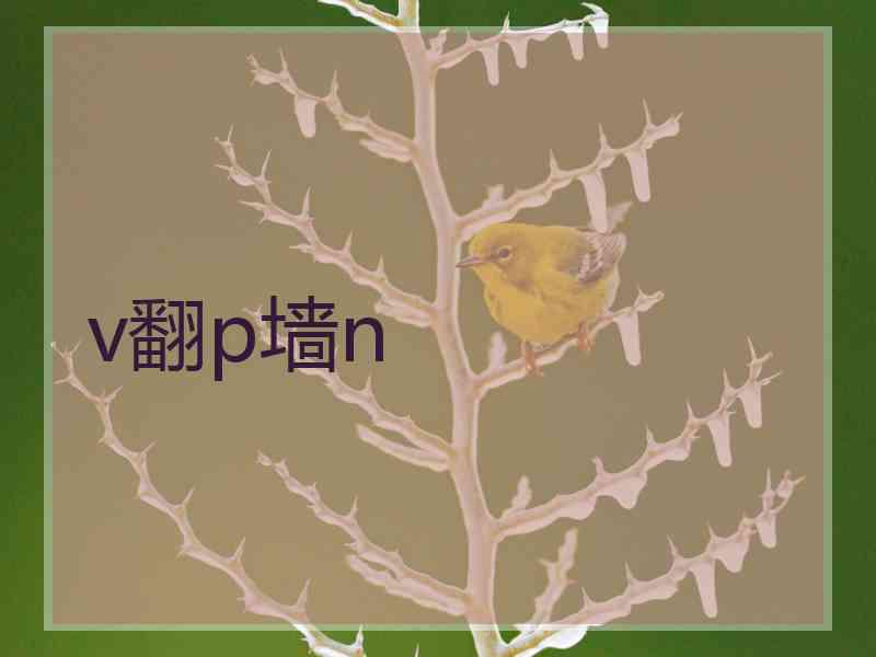 v翻p墙n
