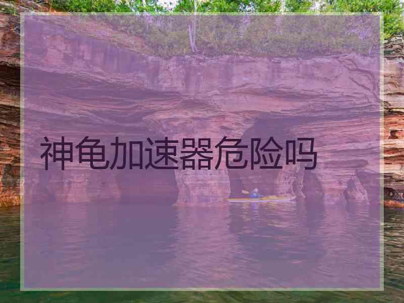 神龟加速器危险吗