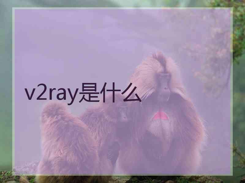 v2ray是什么