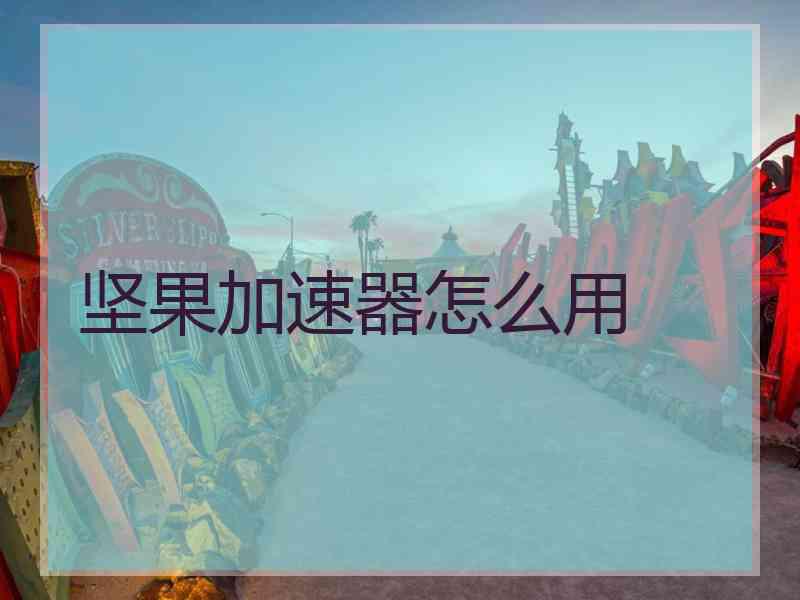 坚果加速器怎么用
