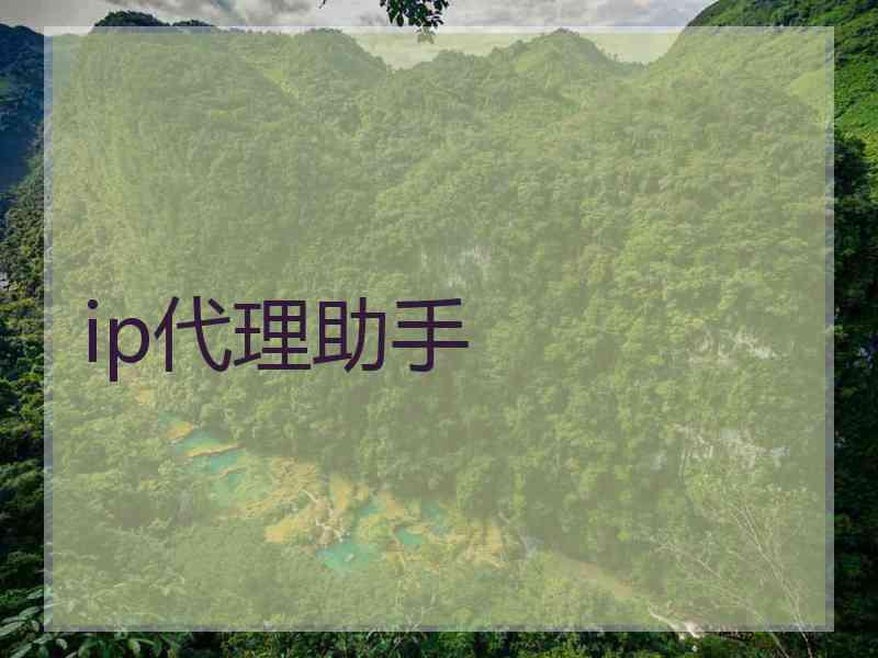 ip代理助手