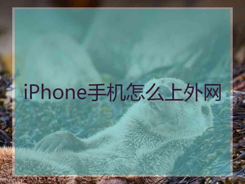 iPhone手机怎么上外网