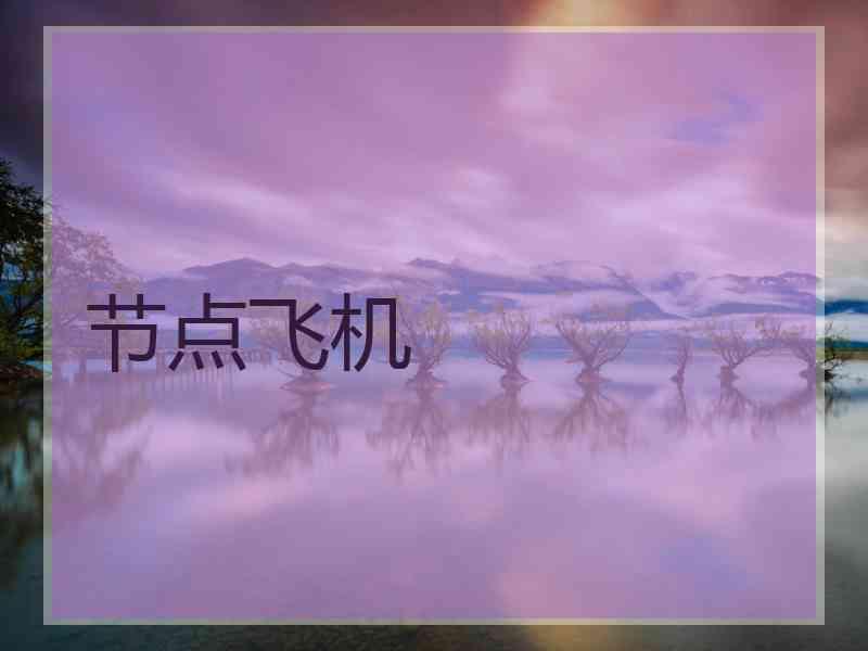 节点飞机