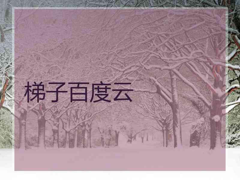 梯子百度云