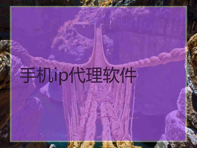 手机ip代理软件