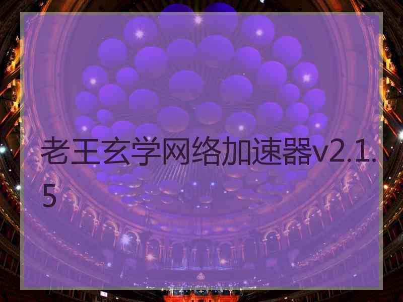 老王玄学网络加速器v2.1.5