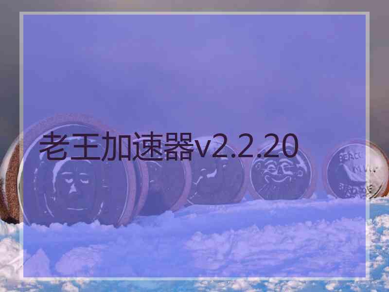 老王加速器v2.2.20