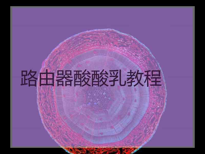 路由器酸酸乳教程