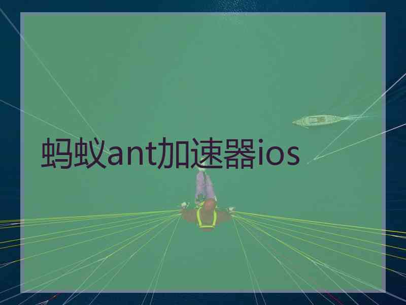 蚂蚁ant加速器ios
