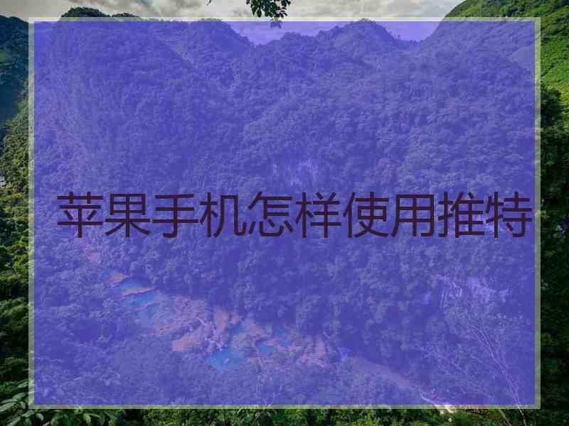 苹果手机怎样使用推特