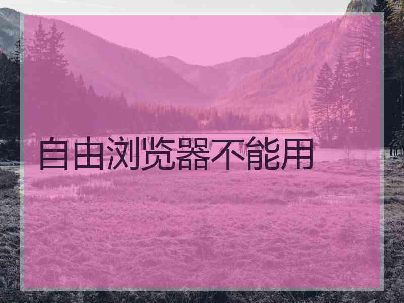自由浏览器不能用