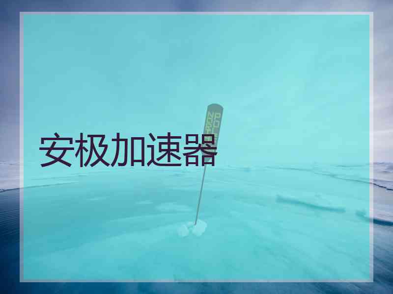 安极加速器