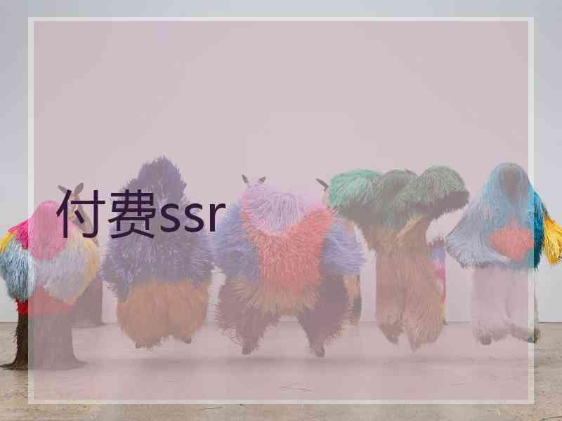 付费ssr