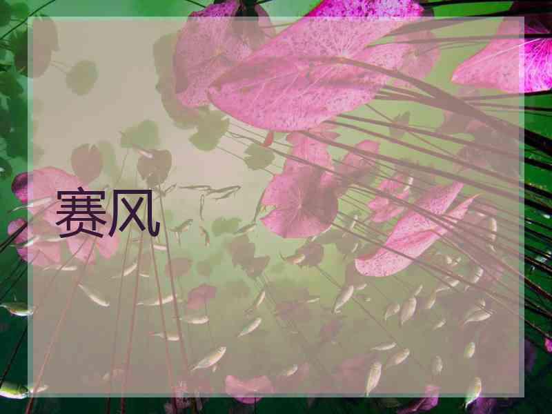 赛风
