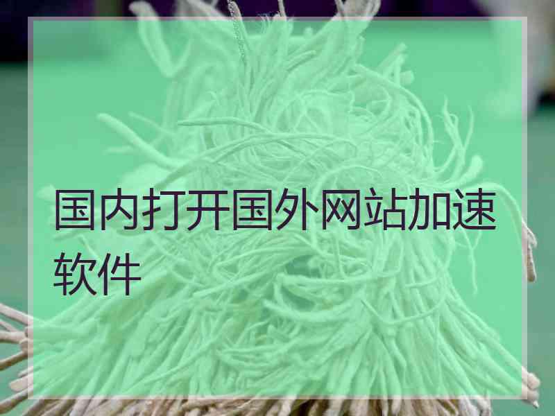 国内打开国外网站加速软件